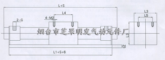 CWCY系列磁性防轉(zhuǎn)氣缸外形